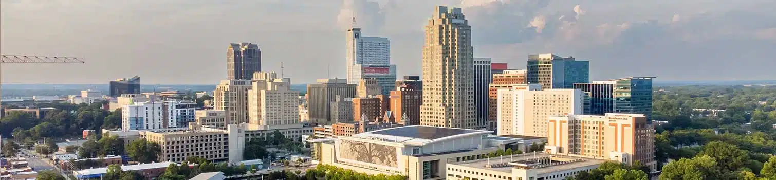 Raleigh NC Stylus S.E.